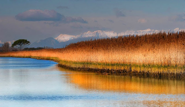 Tema Soca_D_Damijan Sedevcic_Reka.jpg