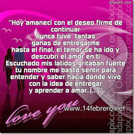 amr 14febrero amr 14febrero