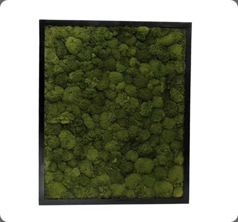 object_d6_fs krislyn