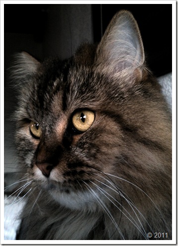 20110922_Baba 20110922_Baba