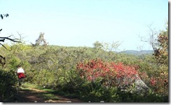 trail1