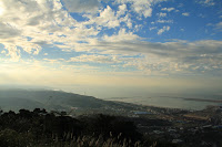IMG_5135.JPG