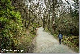 Caminhos bem definidos - Glendalough - Irlanda Caminhos bem definidos - Glendalough - Irlanda