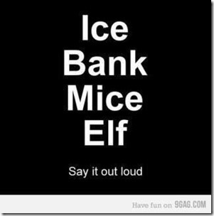 ice bank mice elf