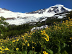 IMG_1418.JPG