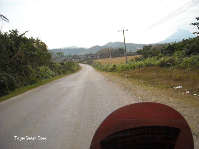 [DSCN81295.jpg]