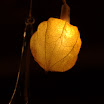 DSC_2867.jpg