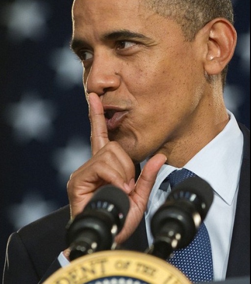[the-obama-decoder-101-obama-politics-1341879534%255B3%255D.jpg]
