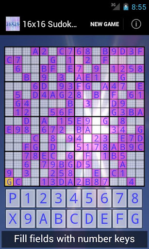 16x16 Sudoku Challenge HD