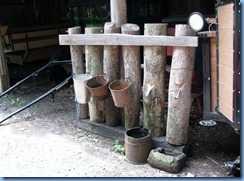 4828 St. Jacobs Farmers' Market - St Jacobs Horse Drawn Tours - Matthew Martin's Old Order Mennonite Farm - maple sugar bush tour