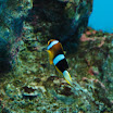 hokkaido_520.jpg