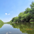 IMG_1370.JPG