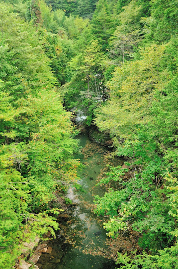 木地屋渓谷