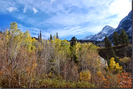 DSC_0707 DSC_0707