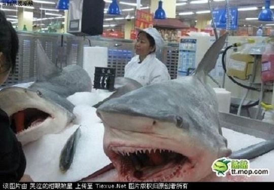 [china-mean-while-b4e0ae%255B2%255D.jpg]