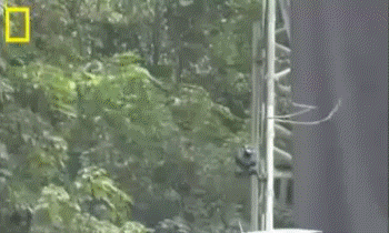 clip_image022 clip_image022