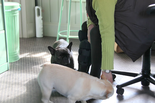 Sharkey, did you notice that strange thing on Susie's right leg?