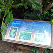 20060819_22_kenting_103.jpg