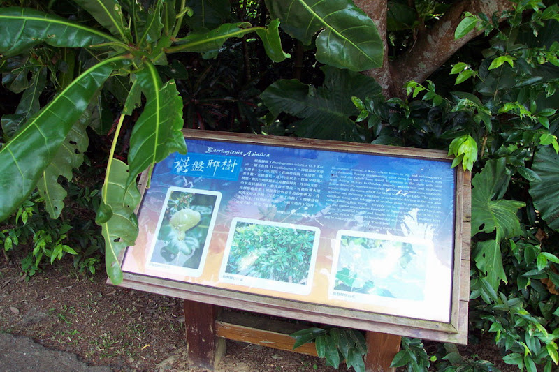 20060819_22_kenting_103.jpg