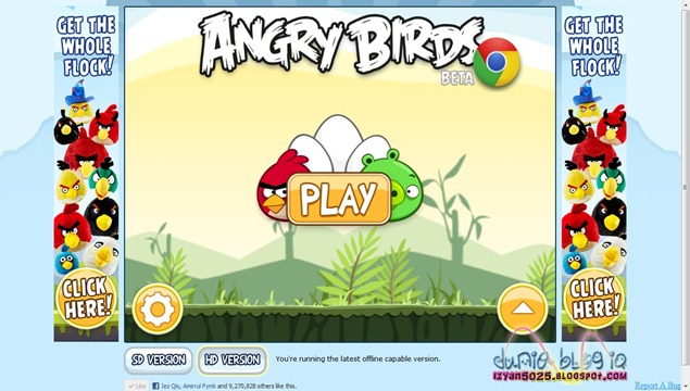 angry birds