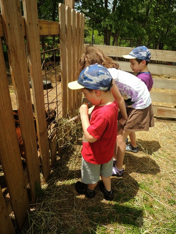 [DSCN8953%255B7%255D.jpg]