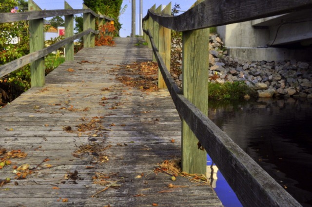 [columbia-bridge-0603.jpg]