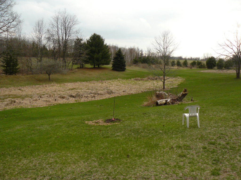 [Egghunt-1193.jpg]