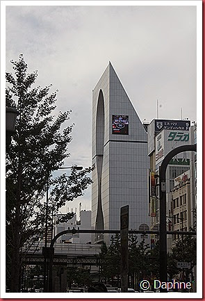 IMG_4866 IMG_4866