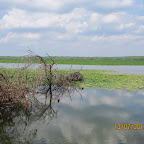 IMG_3404.JPG