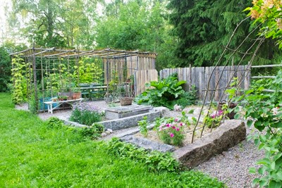 Köksträdgård med pergola Köksträdgård med pergola