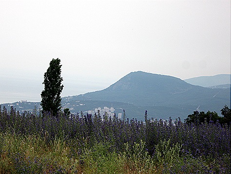 IMG_5147 IMG_5147