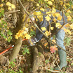 DSCN0224.JPG