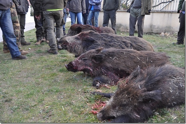 [DSC_0433%255B2%255D%255B1%255D.jpg]