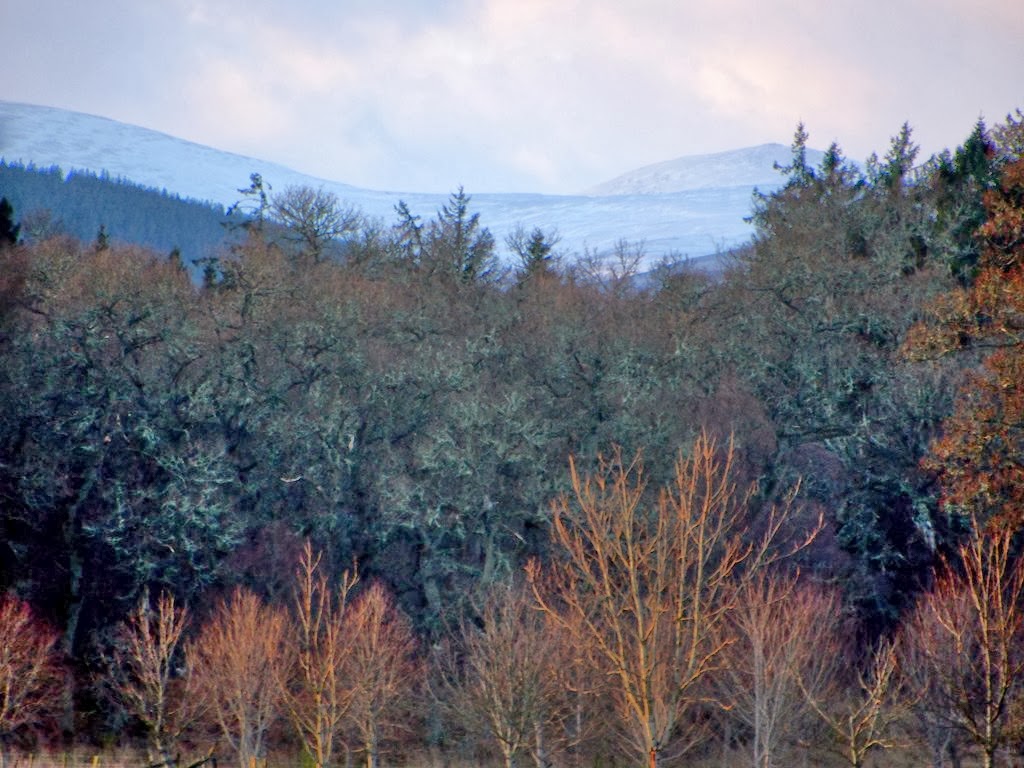 [25%2520Dec%25206%255B3%255D.jpg]