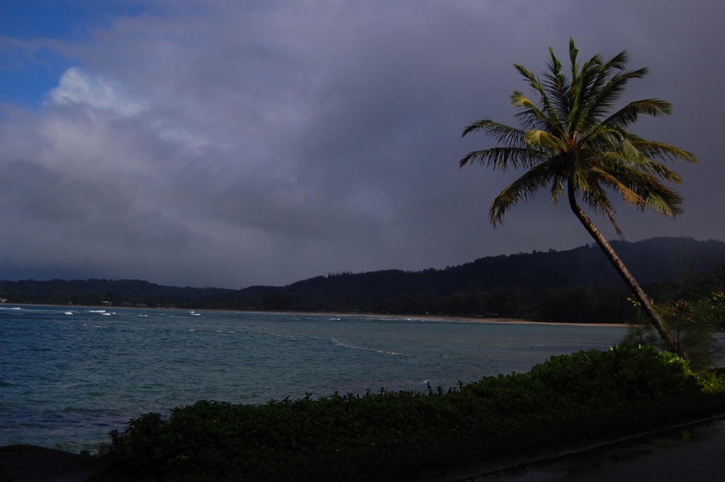 [DSC_0886%255B4%255D.jpg]