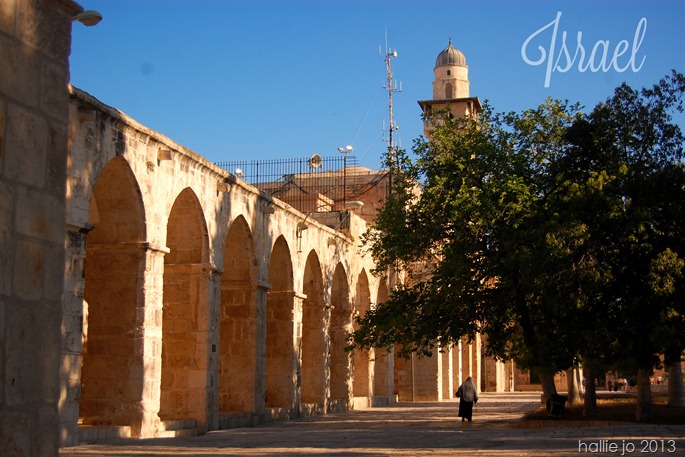 TempleMount TempleMount