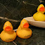 We brought the Hyatt rubber ducky two friends from the Lufthansa lounge
