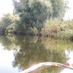 DSCN4455.JPG