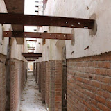 IMG_0969.jpg