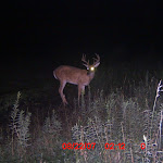 ICAM0043 (5).JPG