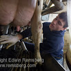 Remsberg_0912177865.JPG