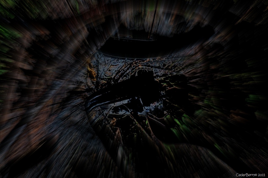 [dragonn%2520entrails%255B14%255D.jpg]