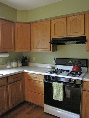 brookside moss by benjamin moore green paint