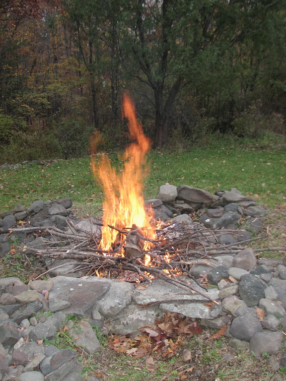 [IMG_78268.jpg]