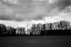 Spring-Fields-2
