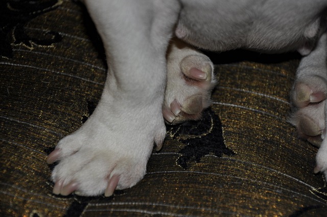 [_DSC0116-2%255B3%255D.jpg]