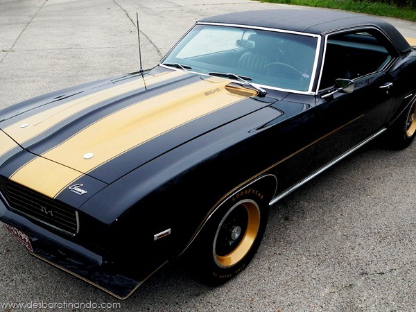 muscle-cars-classics-wallpapers-papeis-de-parede-desbaratinando-(37) muscle-cars-classics-wallpapers-papeis-de-parede-desbaratinando-(37)