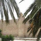 Tunesië