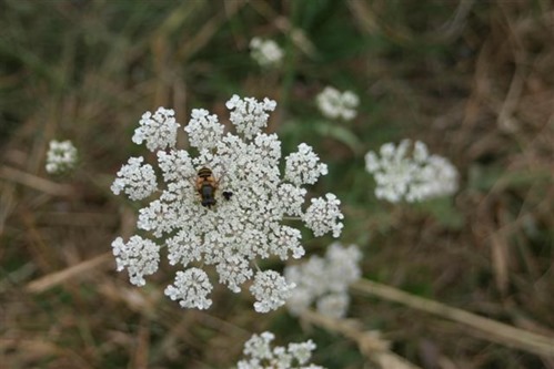 20080904 (Small) 20080904 (Small)