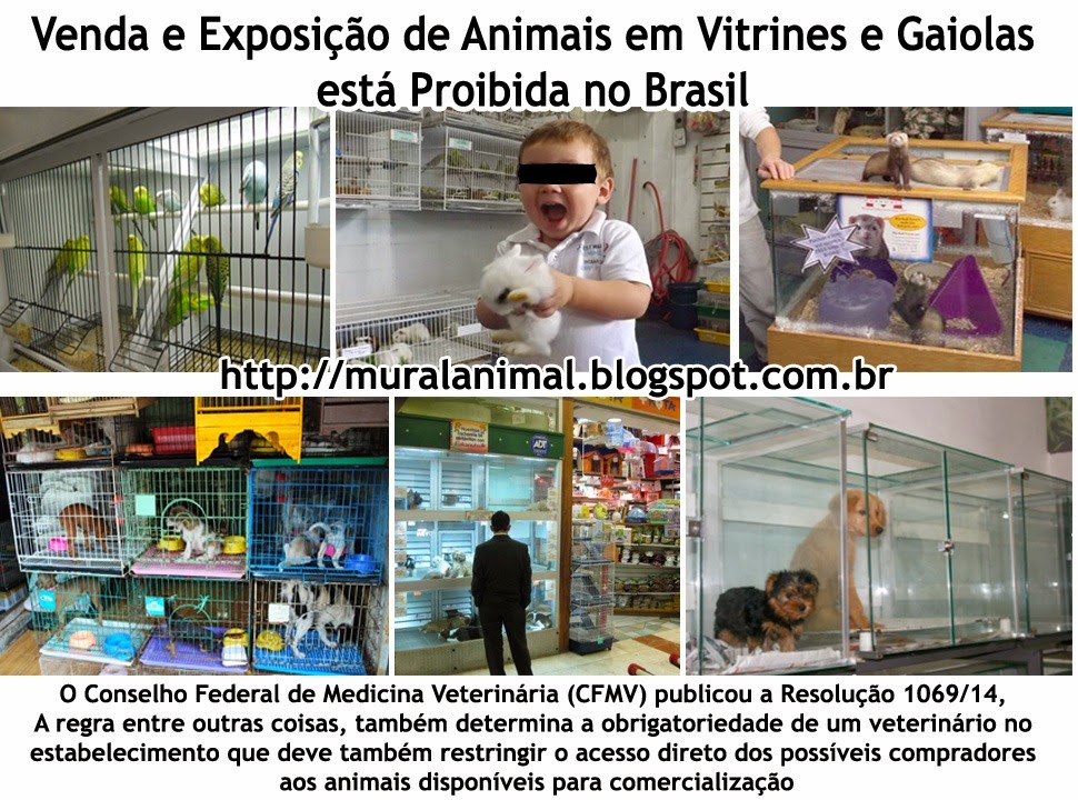 [venda_animais%255B3%255D.jpg]